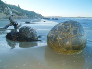 Dragons' Eggs in New Zealand