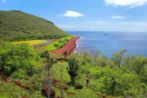 Red Sand Beach